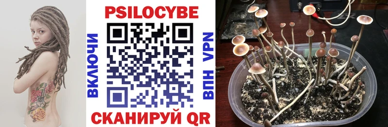 Галлюциногенные грибы MAGIC MUSHROOMS  Каневская 