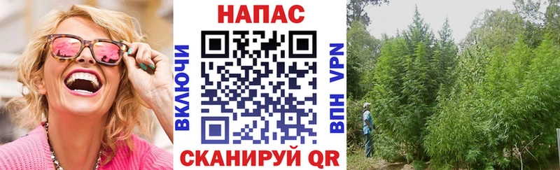 даркнет сайт  mega рабочий сайт  Каннабис тримм  Каневская 